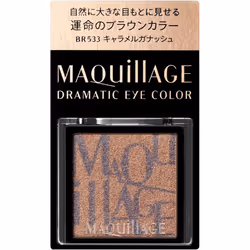 Shiseido Maquillage Maquillage Dramatic Eye Color BR533 1g Eye area (eye shadow and eye color) Use your fingertip or a tip of ...