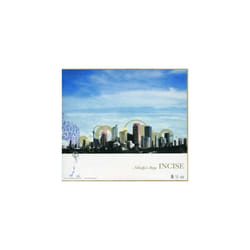 Incise  Nobodys Story CD