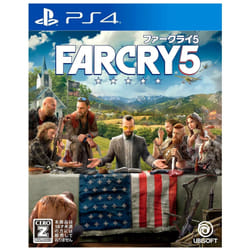 Ubisoft Far Cry 5 Standard Japanese PlayStation 4
