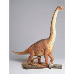 Tamiya 60106Â Brachiosaurus 1:35 Diorama Model Kit