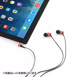 SANWA SUPPLY MM-HS705BK headphones/headset Wired In-ear Black