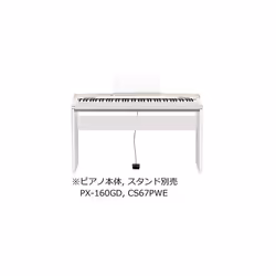 SP-3 - Sustain Pedal Compatible with All Casio Keyboards and Digital Pianos with A Pedal Jack