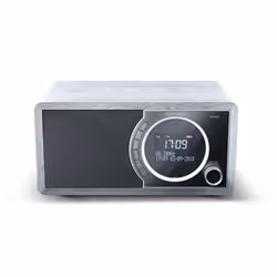Sharp DR-450 Personal Digital Grey, Stainless steel