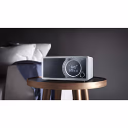 Sharp DR-450 Personal Digital Grey, Stainless steel - Additional view 5