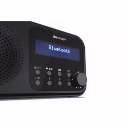 Sharp DR-P420 Portable Digital Black - Additional view 4