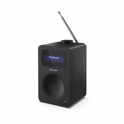 Sharp DR-430 Personal Digital Black