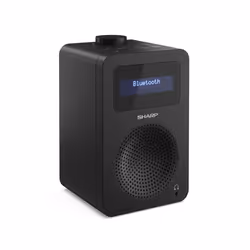 Sharp DR-430 Personal Digital Black