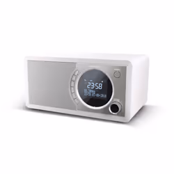 Sharp DR-450 Personal Digital Stainless steel, White