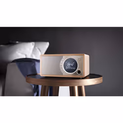 Sharp DR-450 Personal Digital Brown, Stainless steel - Additional view 5