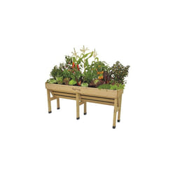 VegTrug Medium Wallhugger