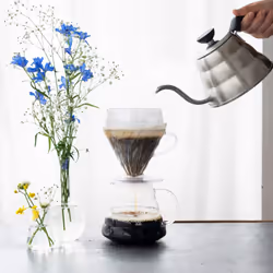 Hario V60 Drip-Assist  Size 02  Clear