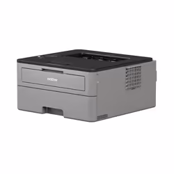 Brother HL-L2350DW laser printer 2400 x 600 DPI A4 Wi-Fi