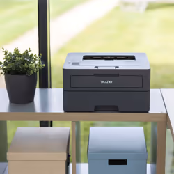 Brother HL-L2445DW wireless laser printer - Additional view 5