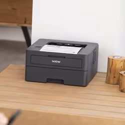 Brother HL-L2400DWE laser printer 1200 x 1200 DPI A4 Wi-Fi - Additional view 5