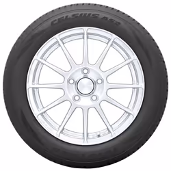 Toyo CELSIUS AS2 XL FP M+S 3PMSF TL 255/50 R19 107W passenger car All-season tyres Tyres 3876500