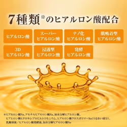 Hada Labo Gokujun Premium Hyaluronic Acid Refill Beauty Essence 170mL