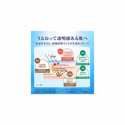 Hadalabo Shirojun Premium Medicated Penetration Whitening Lotion - 170ml - Moist - Refill