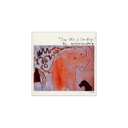 Graham Coxon  Sky Is Too High CD