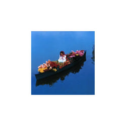 Misia  The Glory Day CD
