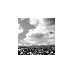 Bump of Chicken  Hana No Na CD