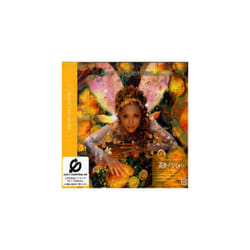 Ayumi Hamasaki  Forgiveness CD