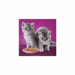 120 x 85g Whiskas 2-12mths Cat Pouches Poultry Feasts in Jelly - Additional view 8