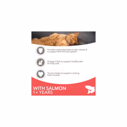 Adult Dry Cat Food Salmon 3kg