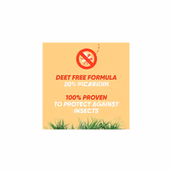 Insect Mosquito Repellent Pump Spray 100 ml