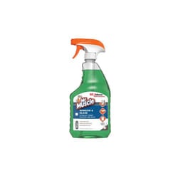 SC Johnson Professional Mr Muscle Window & Glass Cleaner 750ml
