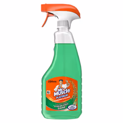 Mr Muscle Platinum Window & Glass Spray - 500ml