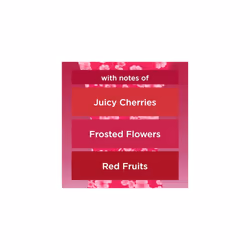 Automatic Air Freshener Refills, Odour Eliminator & Room Spray, Floral Cherries, Pack of 4 Duos (8 x 269ml)
