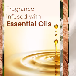 Plug in Air Freshener Refill, Electric Scented Oil Room Air Freshener, Sandalwood & Jasmine, Pack of 6 (6 x 20ml)