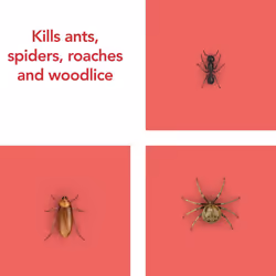 Ant & Cockroach Killer, Insect Killer For Indoor Use, Long Lasting Protection for the Home, Pack of 6 (6 x 300ml)