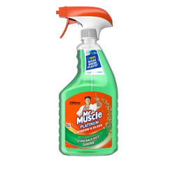 Mr Muscle MR MUSCLE WINDOWGLSS CLNR 750ML PK6