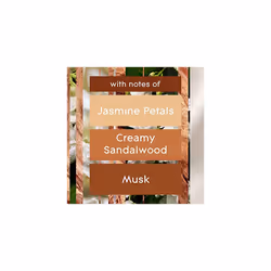 Air Freshener, Aerosol Room Spray, Sandalwood & Jasmine, Pack of 12 (12 x 300ml)