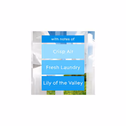 Air Freshener, Aerosol Room Spray, Clean Linen, Pack of 12 (12 x 300ml)