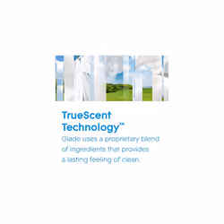 Air Freshener, Aerosol Room Spray, Clean Linen, Pack of 12 (12 x 300ml) - Additional view 6