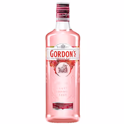 Gordon's 737864
