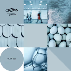 Crown Matt Paint Emulsion Walls & Ceilings 2.5L - Duck Egg - Additional view 6