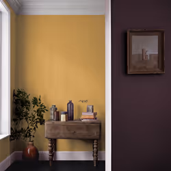 Crown Matt Paint Emulsion Walls & Ceilings 2.5L - Overjoyed