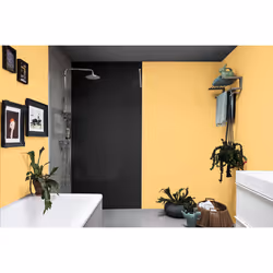 Dulux Matt 2.5 L
