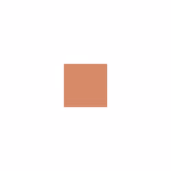 Dulux Heritage Velvet Matt 125ml Tester Pot - Inca Orange