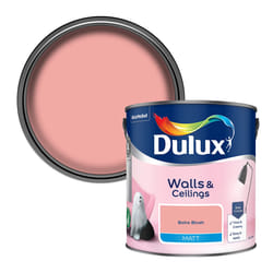 Dulux Matt 2.5L Paint - Boho Blush