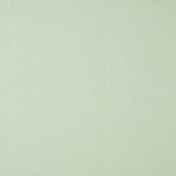 Crown Synergy Texture Green Wallpaper Glitter Silver Modern Feature Wall Vinyl