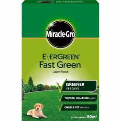 EverGreen 80sqm Extreme Green Carton