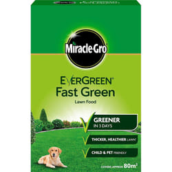 EverGreen 80sqm Extreme Green Carton