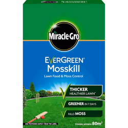 EverGreen Mosskil with Lawn Food Carton, 2.8 kg
