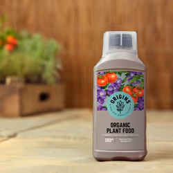 Origins 119506 Plant Food, Green, 5.2 x 8.3 x 19.6 cm