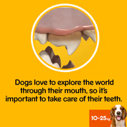 PEDIGREE DentaStix Medium Dog Dental Chews 56 Stick