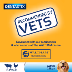 84 Pedigree Dentastix Daily Adult Large Dog Treats 84 Dental Sticks Dog Chews - Additional view 7